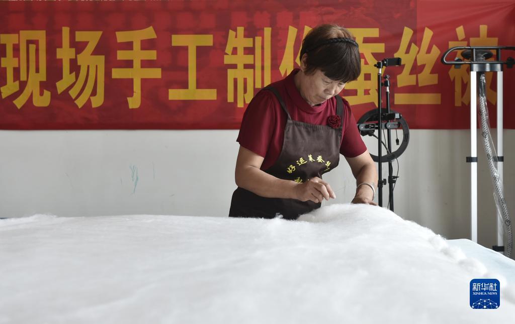 九州网站怎么登录